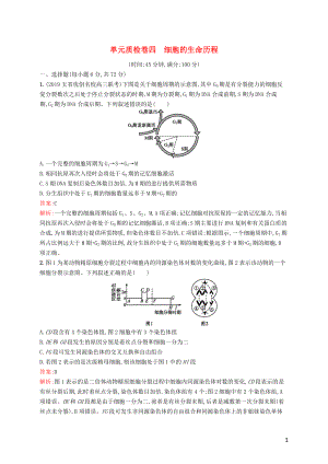 （廣西專用）2021版高考生物一輪復(fù)習(xí) 單元質(zhì)檢卷四 細(xì)胞的生命歷程（含解析）新人教版