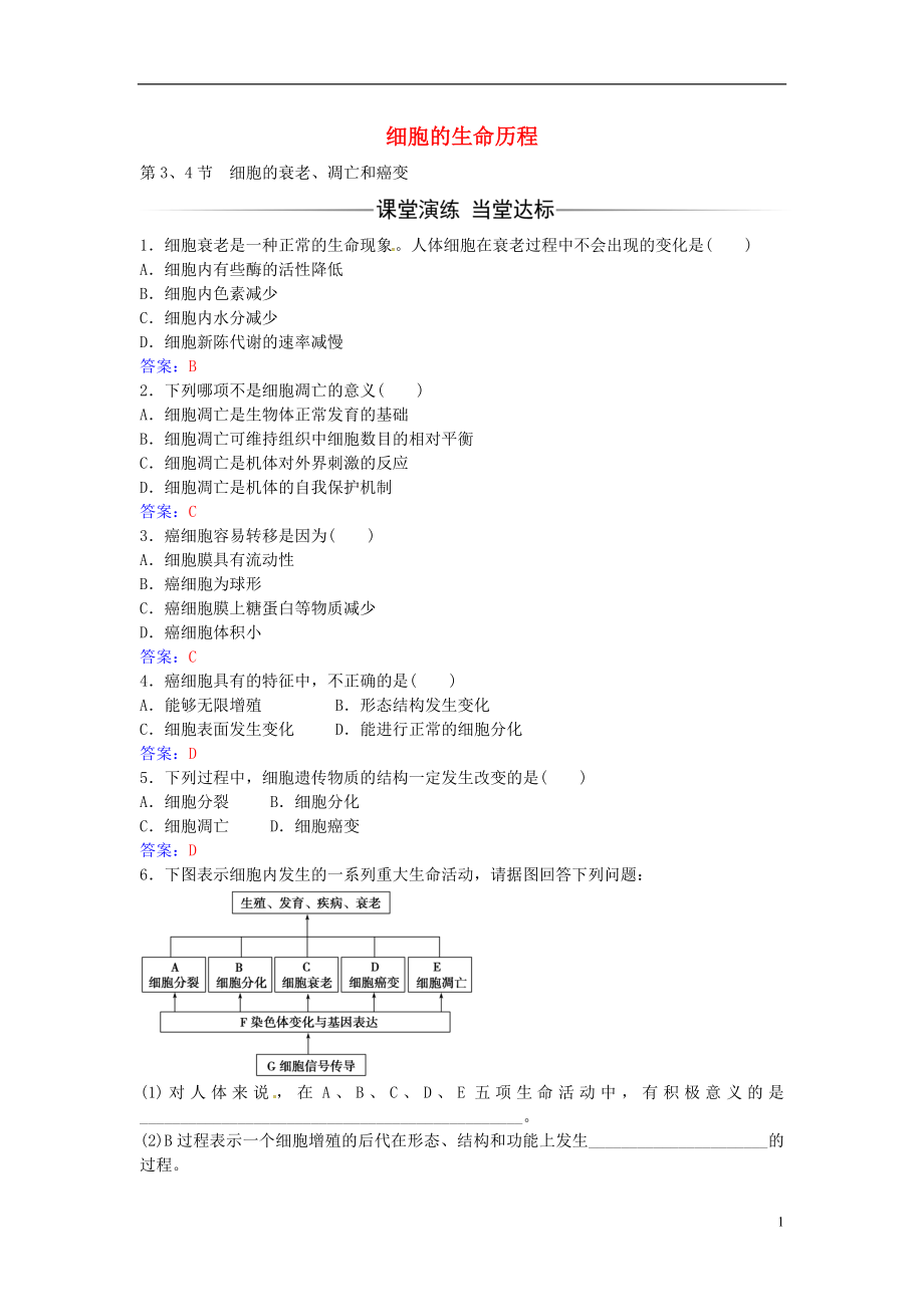 2016年秋高中生物 第6章 第3-4节 细胞的衰老、凋亡和癌变练习 新人教版必修1_第1页