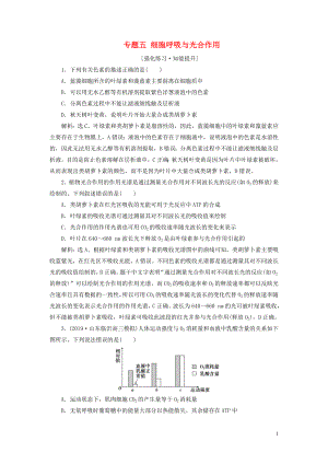 （新高考）2020高考生物二輪復(fù)習(xí) 第一部分 專題突破方略 板塊二 代謝 專題五 細(xì)胞呼吸與光合作用強(qiáng)化練習(xí)知能提升