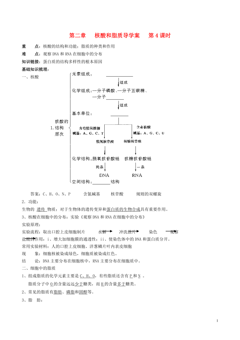 2015-2016學(xué)年高中生物 第二章 核酸和脂質(zhì) 第4課時(shí)導(dǎo)學(xué)案 新人教版必修1_第1頁