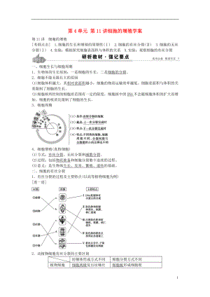 2017高考生物總復(fù)習(xí) 第4單元 第11講細(xì)胞的增殖學(xué)案