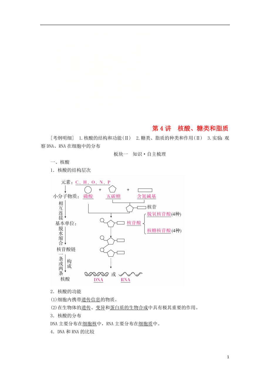 （全國版）2019版高考生物一輪復(fù)習(xí) 第4講 核酸、糖類和脂質(zhì)培優(yōu)學(xué)案_第1頁