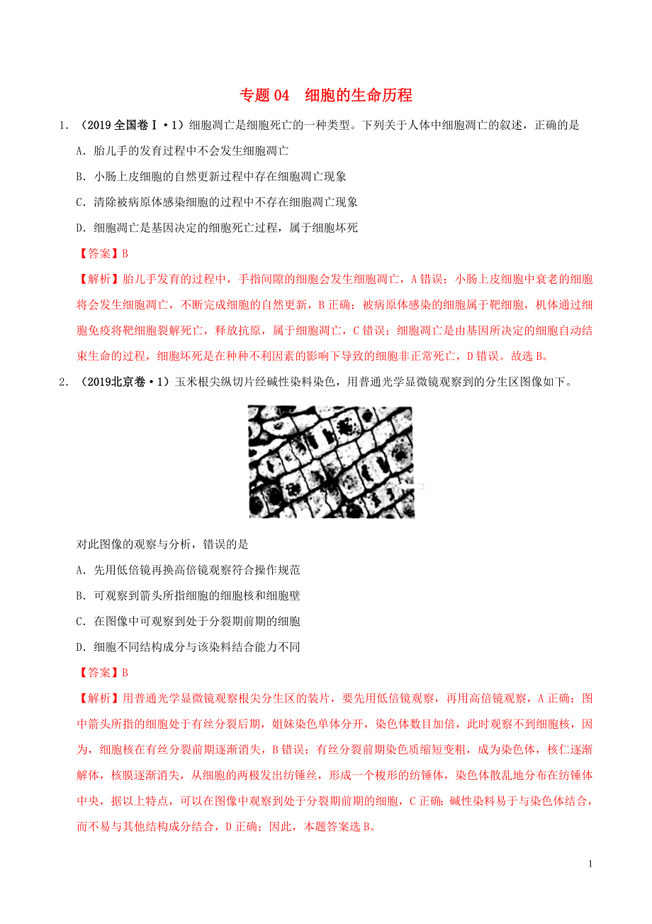 三年高考（2017-2019）高考生物真題分項匯編 專題04 細胞的生命歷程（含解析）_第1頁