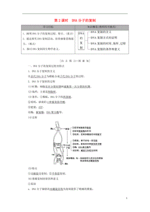 2018-2019高中生物 第4章 遺傳的分子基礎(chǔ) 第2節(jié) DNA的結(jié)構(gòu)和DNA的復(fù)制 第2課時(shí) DNA分子的復(fù)制學(xué)案 蘇教版必修2