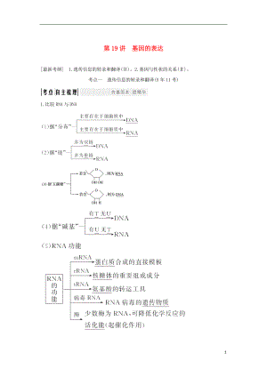 2018屆高考生物一輪復(fù)習(xí) 第六單元 遺傳的分子基礎(chǔ) 第19講 基因的表達(dá)學(xué)案