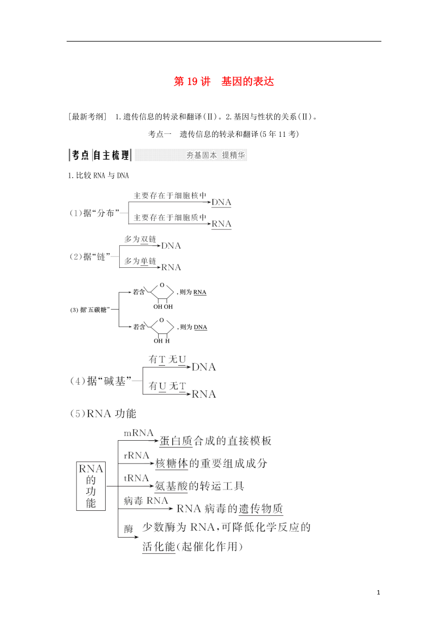 2018屆高考生物一輪復(fù)習(xí) 第六單元 遺傳的分子基礎(chǔ) 第19講 基因的表達學(xué)案_第1頁