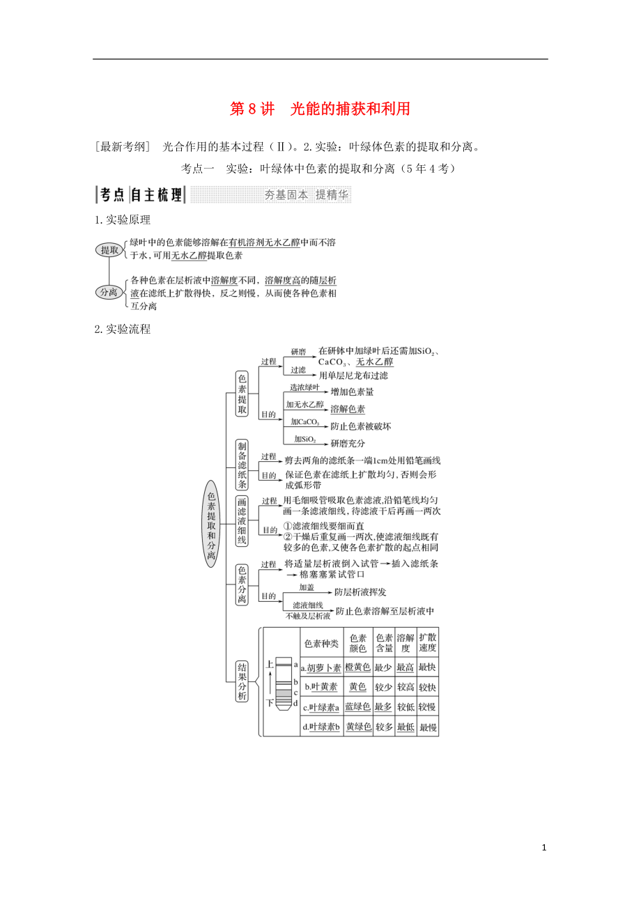 2019版高考生物一輪復習 第四單元 細胞的能量供應與利用 第8講 光能的捕獲和利用創(chuàng)新備考學案 中圖版_第1頁