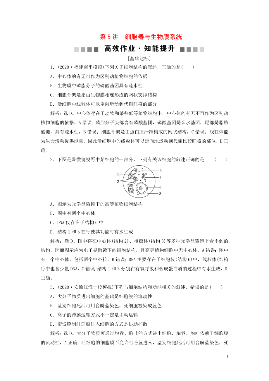 （選考）2021版新高考生物一輪復(fù)習(xí) 第二單元 細(xì)胞的結(jié)構(gòu)和物質(zhì)運(yùn)輸 第5講 細(xì)胞器與生物膜系統(tǒng)高效作業(yè)知能提升 新人教版_第1頁(yè)