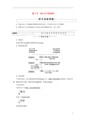 2018版高中生物 第三章 基因的本質(zhì) 第2節(jié) DNA分子的結構學案 新人教版必修2