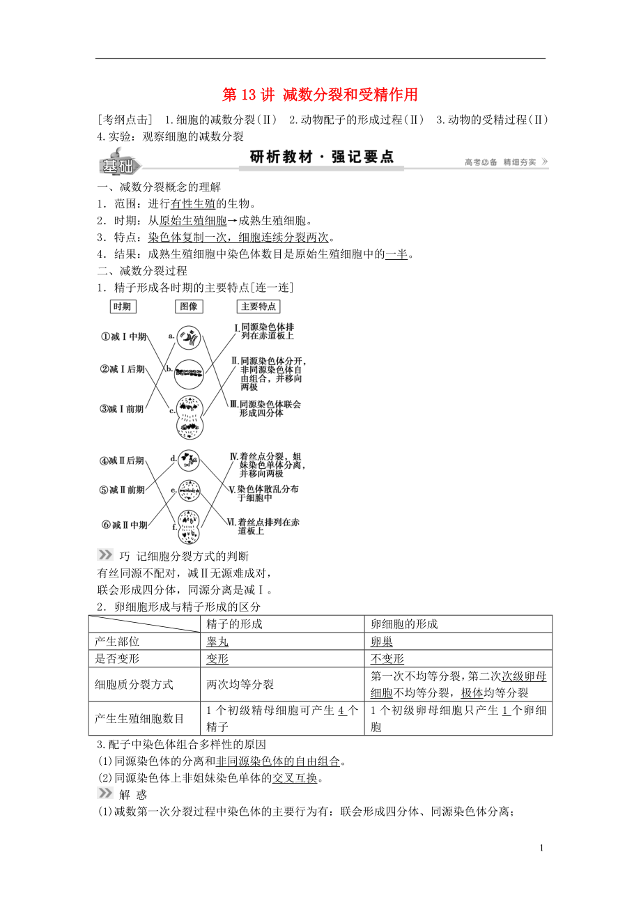 2017高考生物總復習 第4單元 第13講減數(shù)分裂和受精作用學案_第1頁