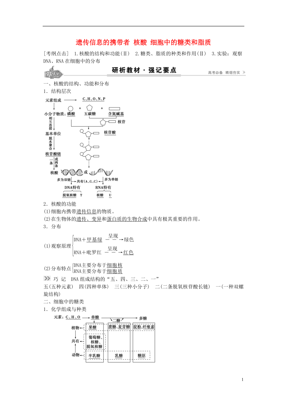 2017高考生物總復(fù)習(xí) 第1單元 第4講 遺傳信息的攜帶者學(xué)案_第1頁