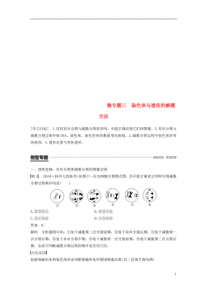 2018-2019學(xué)年高中生物 第二章 染色體與遺傳 微專題三 染色體與遺傳的解題方法學(xué)案 浙科版必修2