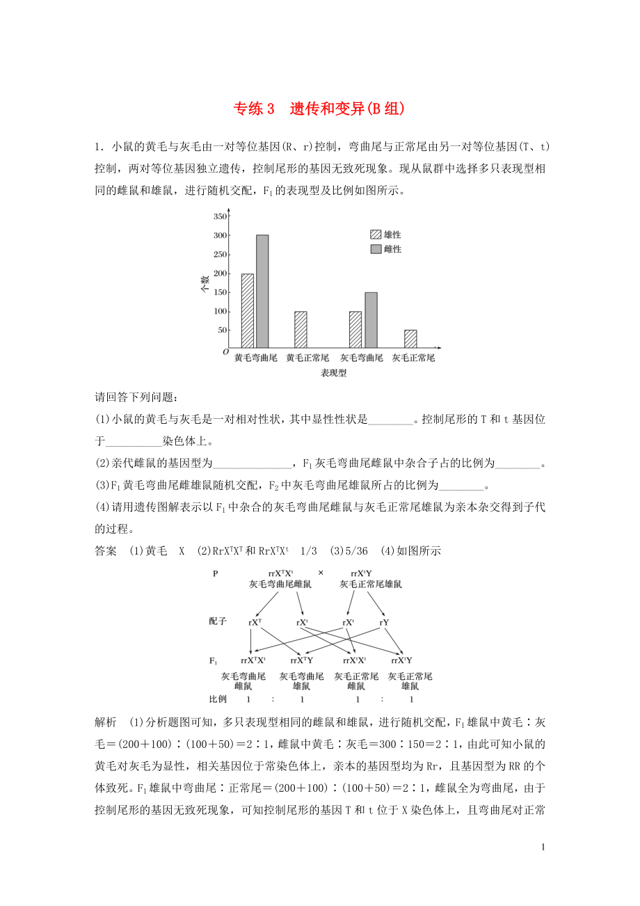 （浙江专用）2020年高考生物 考前增分专项练辑 专项2 简答题规范练 专练3 遗传和变异（B组）（含解析）_第1页