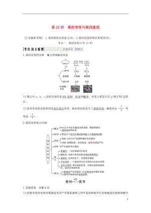 （江蘇專用）2019版高考生物大一輪復(fù)習(xí) 第7單元 生物的變異、育種與進(jìn)化 第20講 基因突變與基因重組學(xué)案