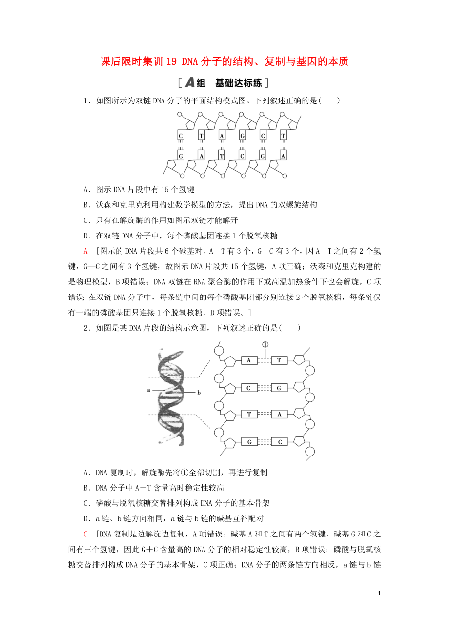 2021版高考生物一輪復(fù)習(xí) 課后限時(shí)集訓(xùn)19 DNA分子的結(jié)構(gòu)、復(fù)制與基因的本質(zhì) 蘇教版_第1頁(yè)