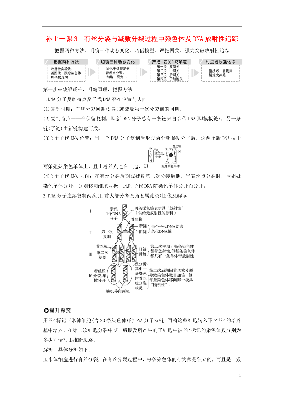 2019版高考生物一輪復(fù)習(xí) 第四單元 細(xì)胞的能量供應(yīng)與利用 補(bǔ)上一課3 有絲分裂與減數(shù)分裂過(guò)程中染色體及DNA放射性追蹤創(chuàng)新備考學(xué)案 中圖版_第1頁(yè)