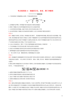 （廣西專用）2021版高考生物一輪復(fù)習(xí) 考點(diǎn)規(guī)范練13 細(xì)胞的分化、衰老、凋亡和癌變（含解析）新人教版