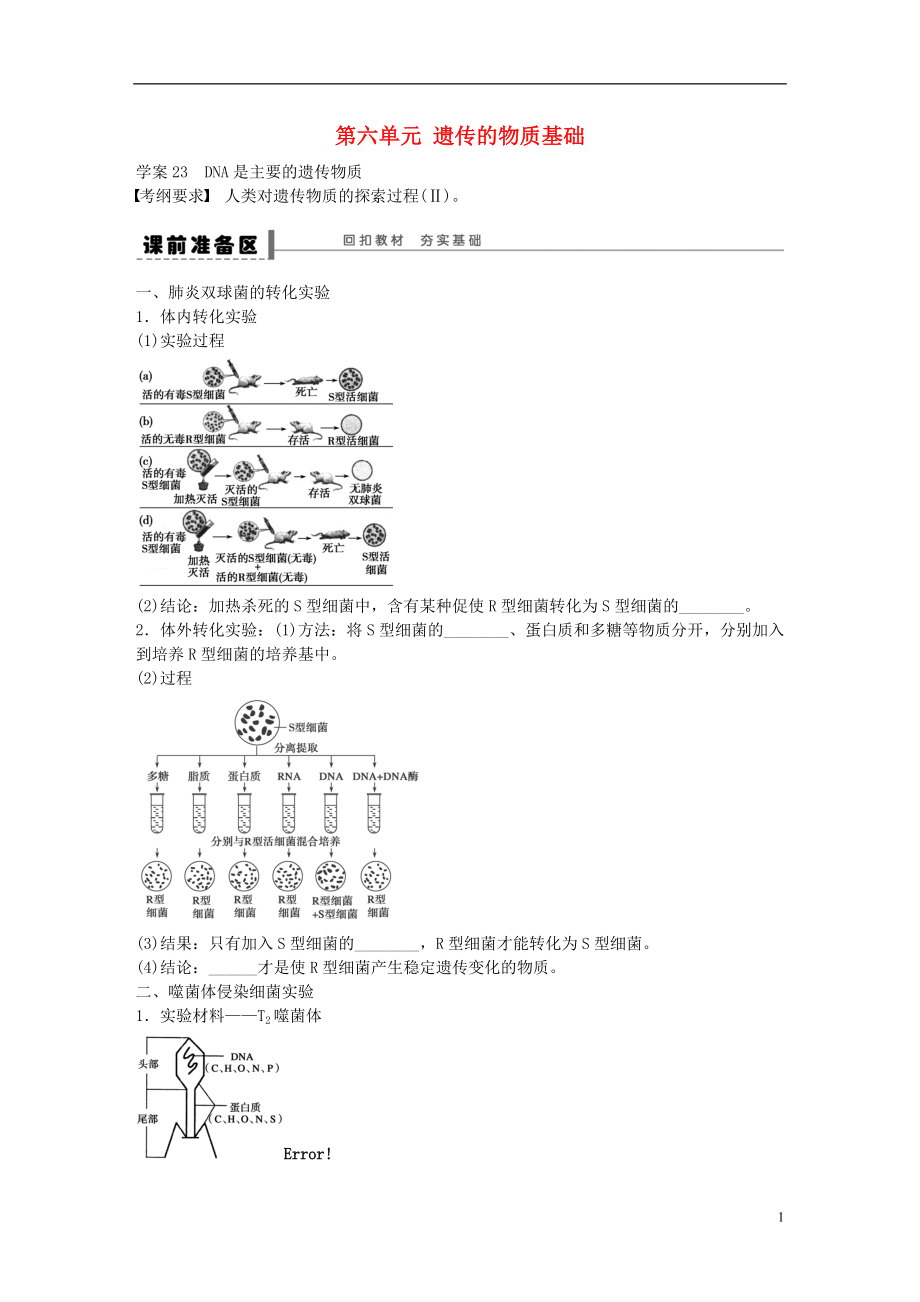 高考生物大一輪復(fù)習(xí) 第六單元 23 DNA是主要的遺傳物質(zhì)學(xué)案_第1頁(yè)