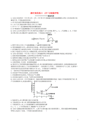 2020版高考生物大一輪復(fù)習(xí) 第3單元 細(xì)胞的能量供應(yīng)和利用 課時(shí)規(guī)范練9 ATP與細(xì)胞呼吸 新人教版