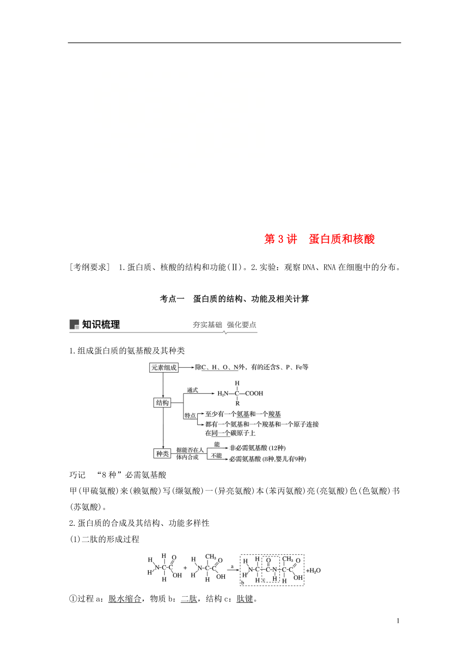 2019版生物高考大一輪復(fù)習(xí) 第一單元 認(rèn)識細(xì)胞與細(xì)胞的化學(xué)組成 第3講 蛋白質(zhì)和核酸學(xué)案 北師大版_第1頁