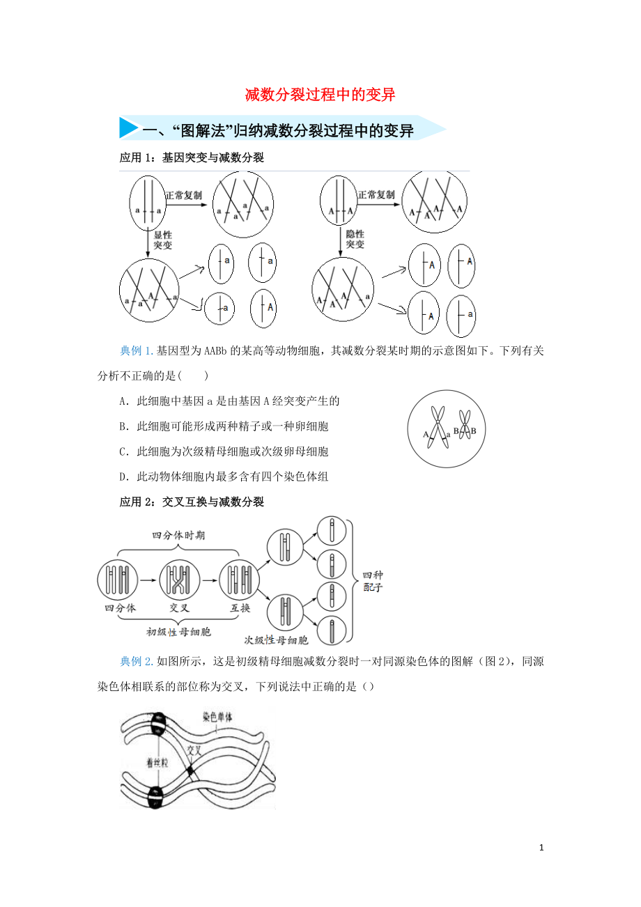 2020屆高三生物 精準培優(yōu)專練十一 減數(shù)分裂過程中的變異（含解析）_第1頁