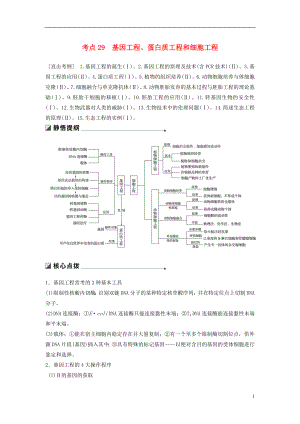 （通用版）2019版高考生物二輪復(fù)習(xí) 專(zhuān)題十 現(xiàn)代生物科技專(zhuān)題 考點(diǎn)29 基因工程、蛋白質(zhì)工程和細(xì)胞工程學(xué)案