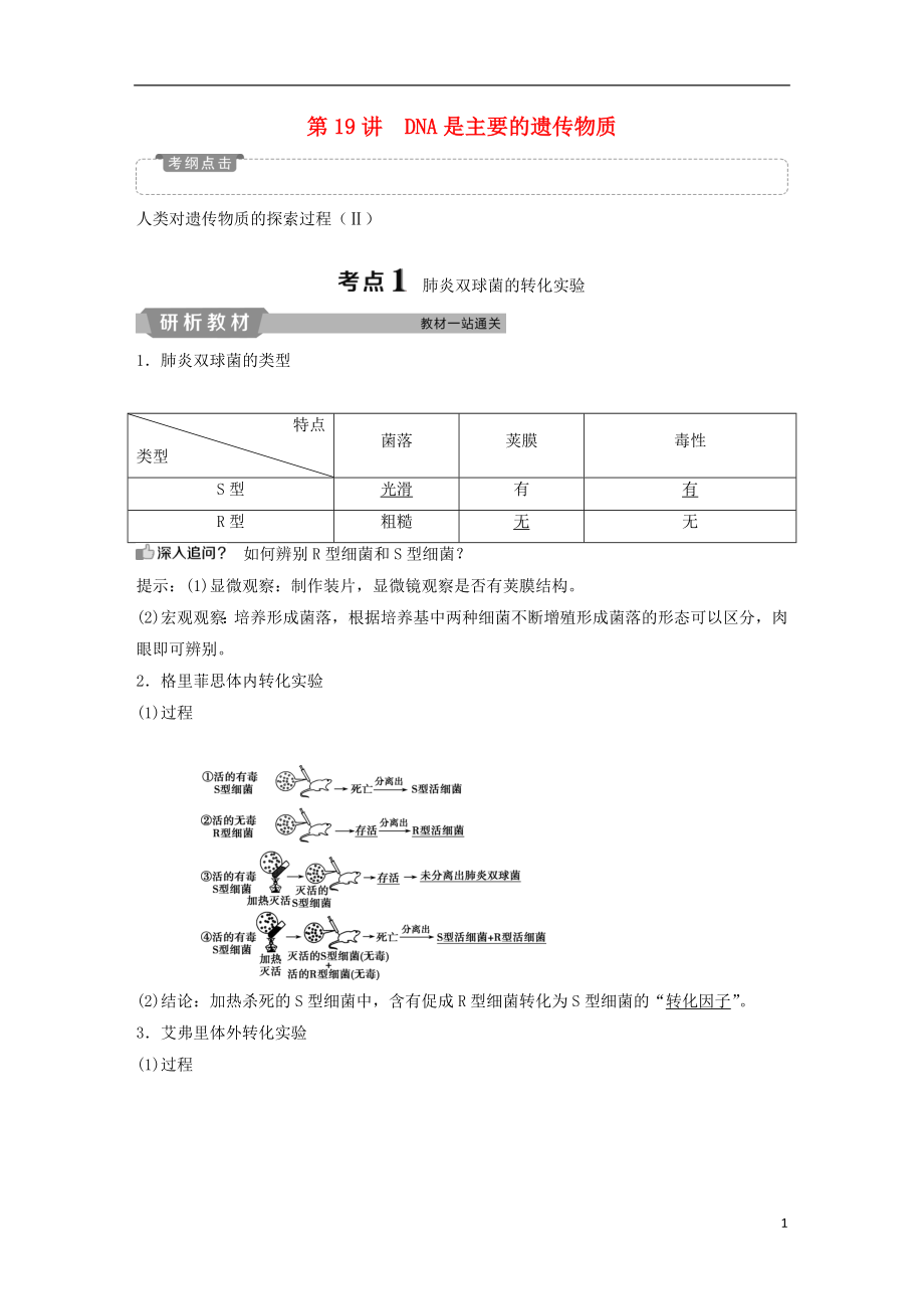 2019屆高考生物一輪復(fù)習(xí) 第六單元 遺傳的物質(zhì)基礎(chǔ) 第19講 DNA是主要的遺傳物質(zhì)學(xué)案_第1頁