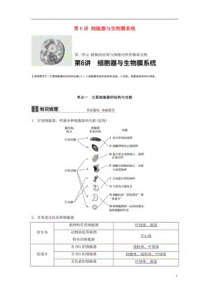 新2017高考生物一輪復(fù)習(xí) 第二單元 細(xì)胞的結(jié)構(gòu)與細(xì)胞內(nèi)外的物質(zhì)交換 第6講 細(xì)胞器與生物膜系統(tǒng)學(xué)案（含解析）北師大版