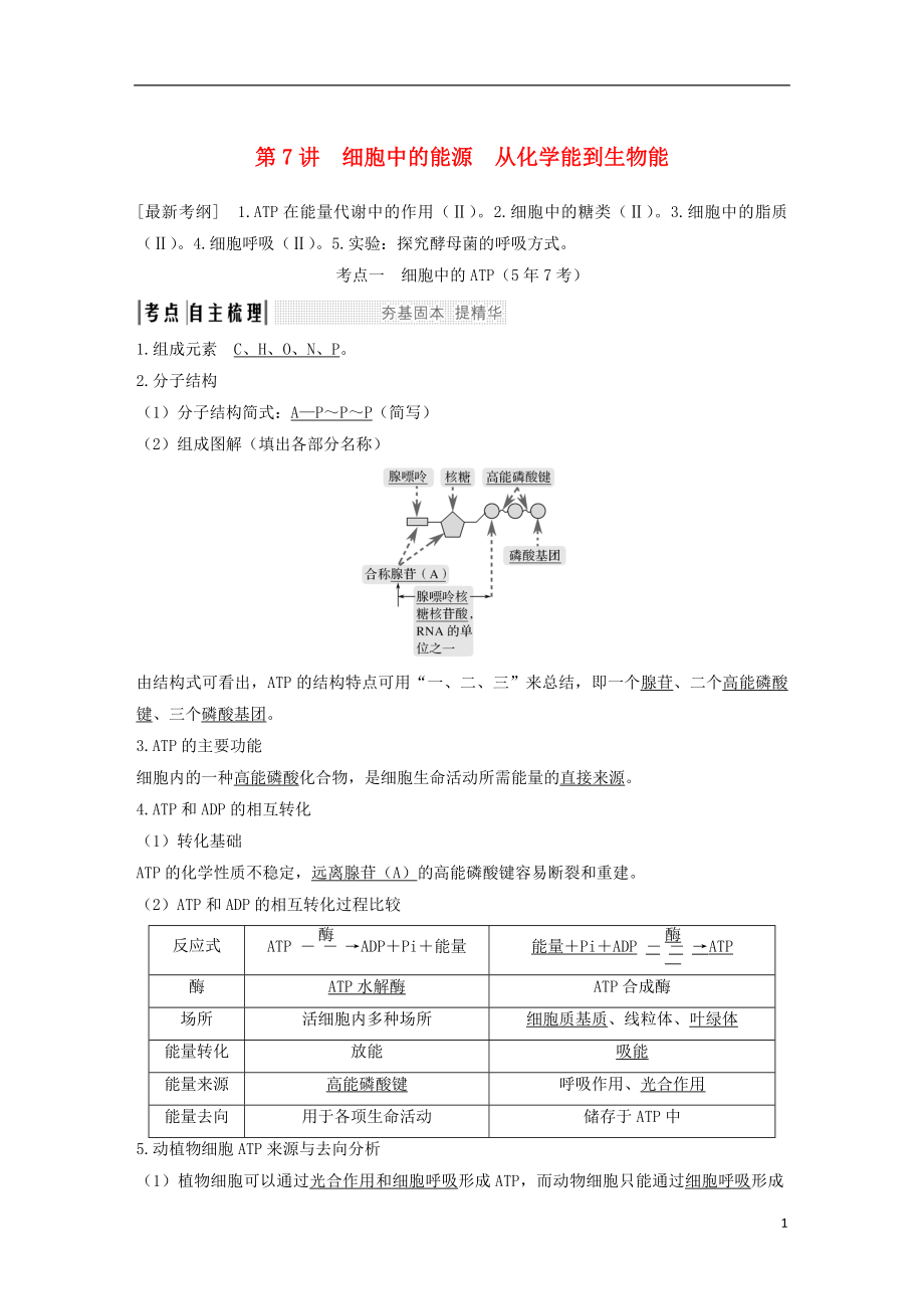 2019版高考生物一輪復(fù)習(xí) 第四單元 細(xì)胞的能量供應(yīng)與利用 第7講 細(xì)胞中的能源 從化學(xué)能到生物能創(chuàng)新備考學(xué)案 中圖版_第1頁