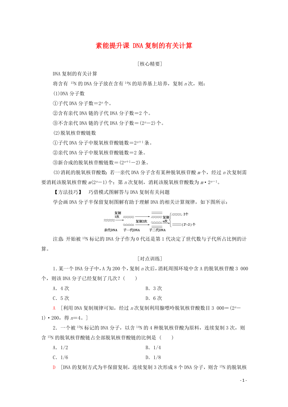 2019-2020學(xué)年新教材高中生物 第3章 基因的本質(zhì) 素能提升課 DNA復(fù)制的有關(guān)計算教學(xué)案 新人教版必修第二冊_第1頁