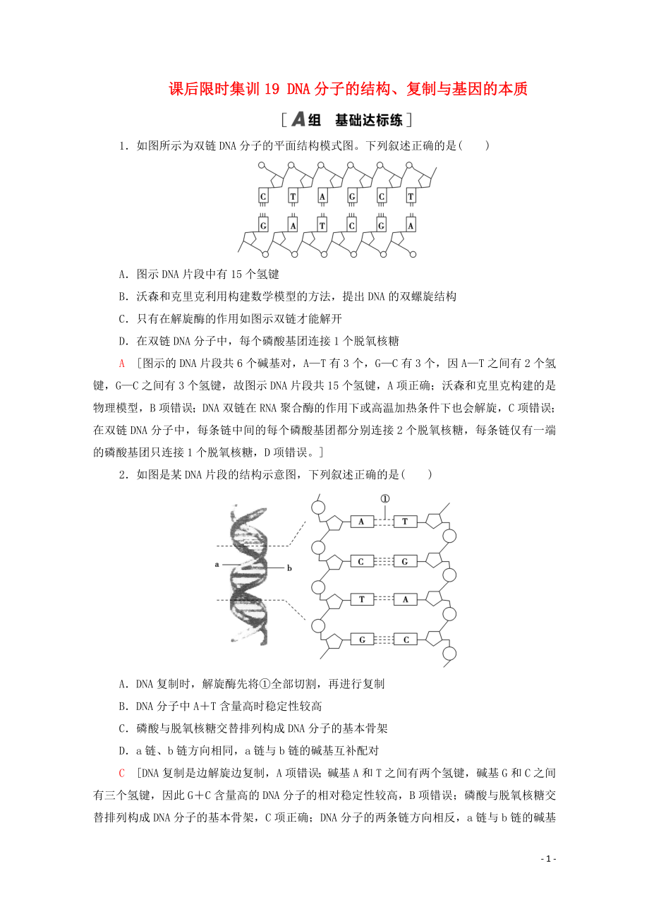 2021高考生物一輪復(fù)習(xí) 課后限時(shí)集訓(xùn)19 DNA分子的結(jié)構(gòu)、復(fù)制與基因的本質(zhì) 新人教版_第1頁