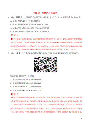 2019年高考生物 高考真題和模擬題分項匯編 專題03 細胞的生命歷程（含解析）