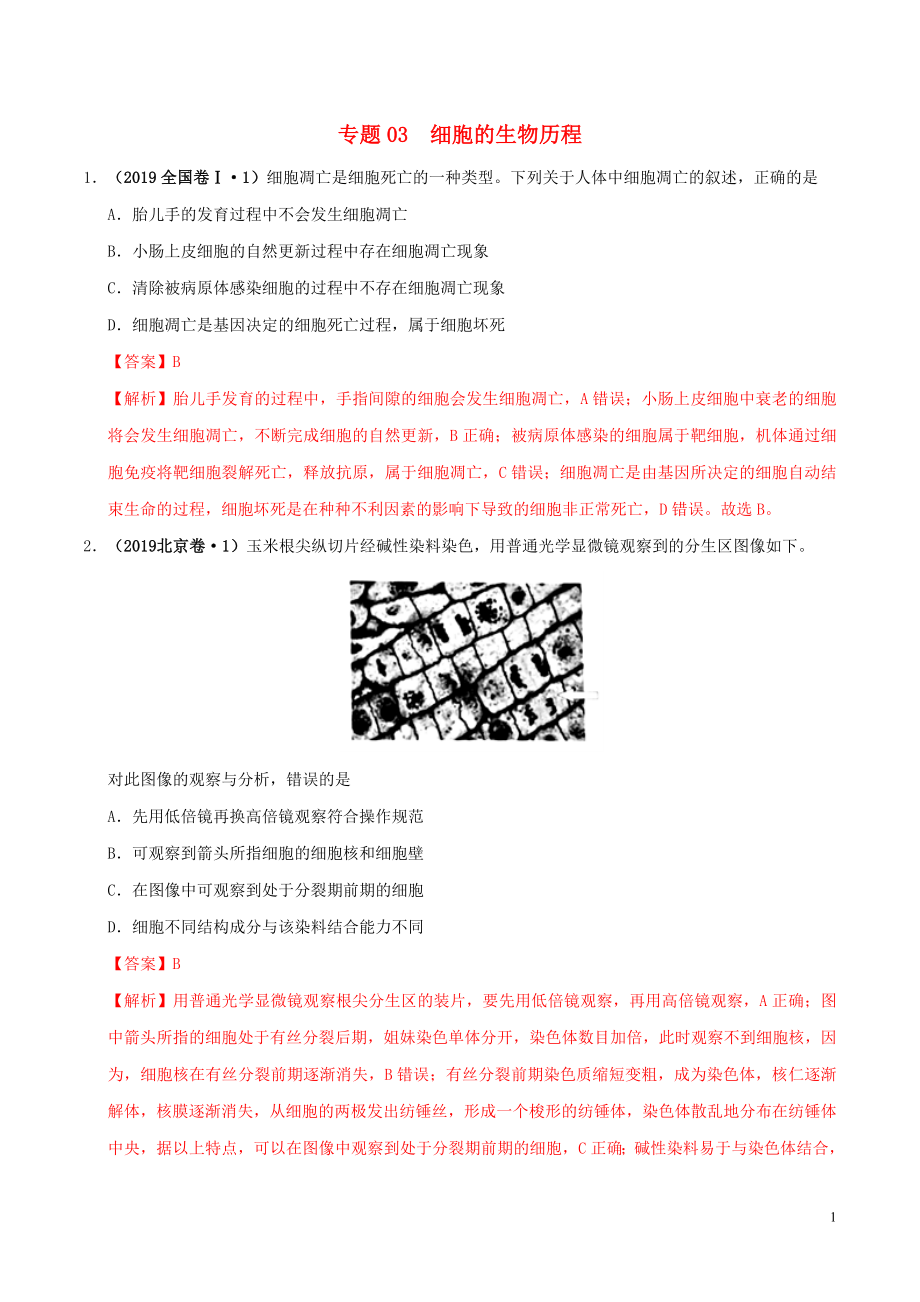 2019年高考生物 高考真题和模拟题分项汇编 专题03 细胞的生命历程（含解析）_第1页