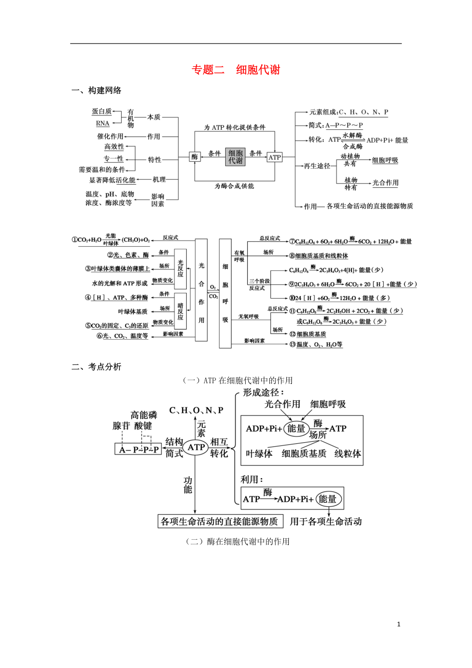 湖南省新田縣高三生物二輪復(fù)習(xí) 專題2 細(xì)胞代謝學(xué)案_第1頁