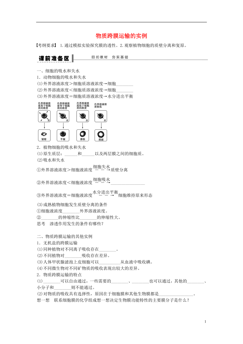 高考生物大一輪復(fù)習(xí) 第二單元 7 物質(zhì)跨膜運(yùn)輸?shù)膶?shí)例學(xué)案_第1頁