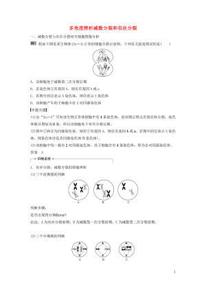 2020版高考生物新導(dǎo)學(xué)大一輪復(fù)習(xí) 第四單元 細(xì)胞的生命歷程 熱點(diǎn)題型三 多角度辨析減數(shù)分裂和有絲分裂講義（含解析）北師大版