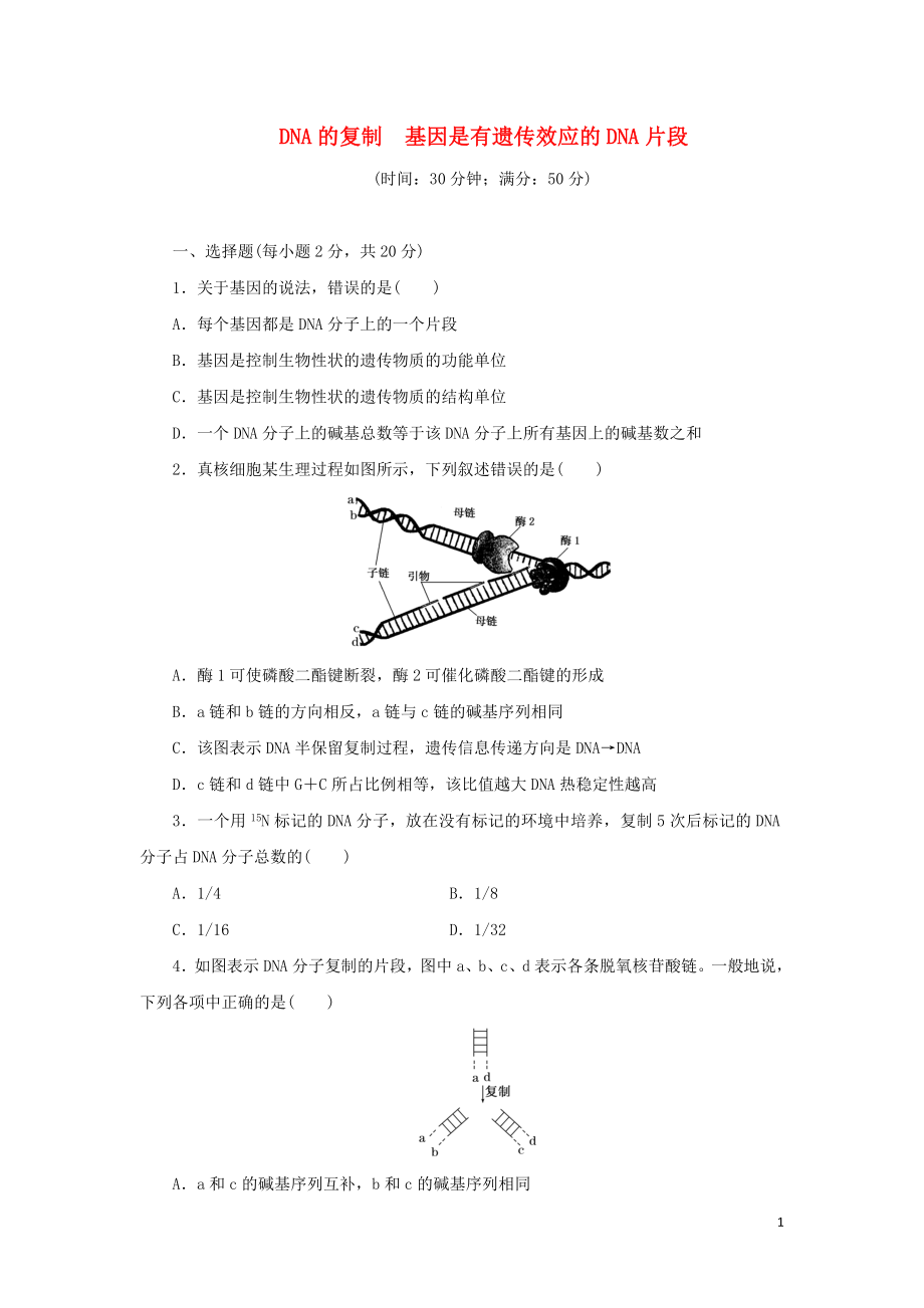 2019高中生物 課時達(dá)標(biāo)訓(xùn)練（八）DNA的復(fù)制 基因是有遺傳效應(yīng)的DNA片段（含解析）新人教版必修2_第1頁