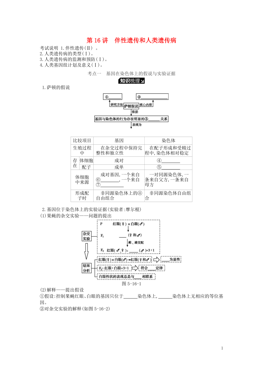 2019版高考生物一輪復(fù)習(xí) 第5單元 遺傳的基本規(guī)律和遺傳的細(xì)胞基礎(chǔ) 第16講 伴性遺傳和人類遺傳病學(xué)案 蘇教版_第1頁