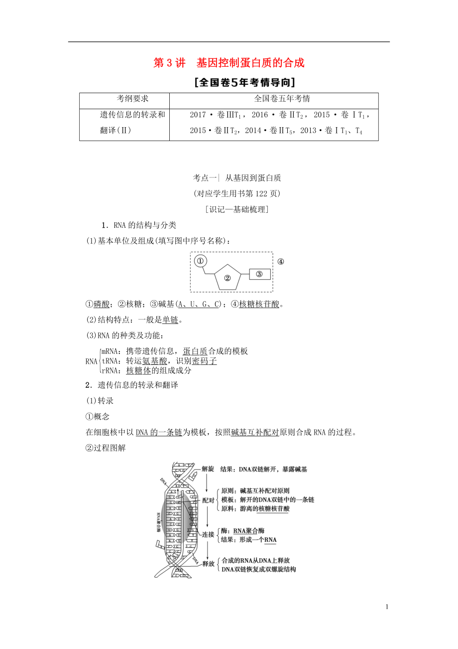 2019版高考生物一輪復(fù)習(xí) 第6單元 遺傳的分子基礎(chǔ) 第3講 基因控制蛋白質(zhì)的合成學(xué)案 蘇教版_第1頁