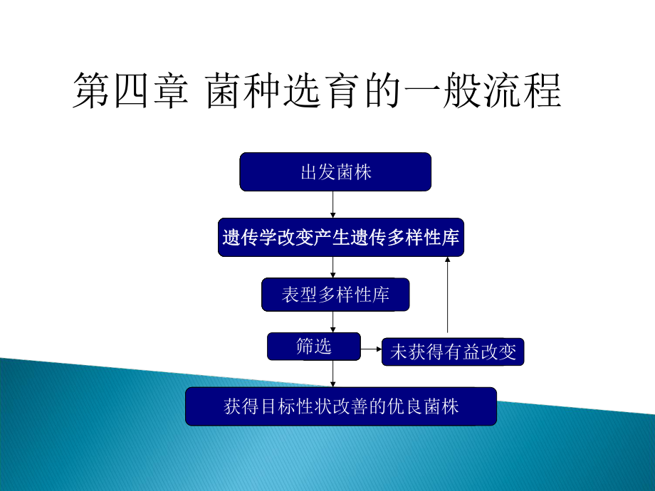 菌种选育的一般流程_第1页