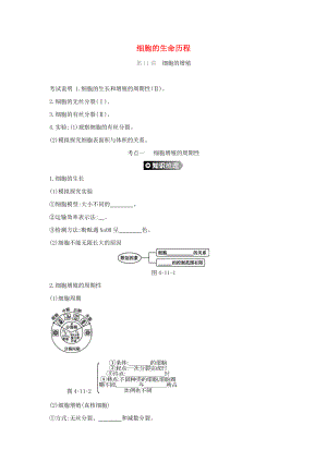 （全國通用）2020屆高考生物優(yōu)選大一輪復(fù)習(xí) 第4單元 細(xì)胞的生命歷程（第11-13講）練習(xí)（含解析）