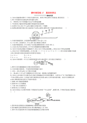 2020版高考生物大一輪復(fù)習(xí) 第5單元 遺傳的分子基礎(chǔ) 課時規(guī)范練17 基因的表達 新人教版