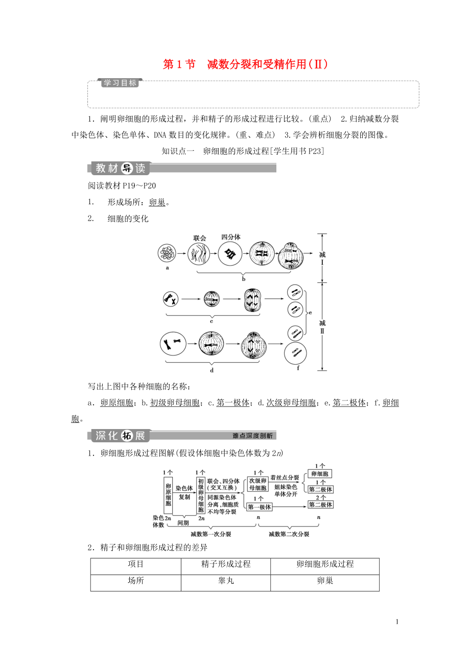 2019-2020學(xué)年高中生物 第2章 基因和染色體的關(guān)系 第1節(jié) 減數(shù)分裂和受精作用（Ⅱ）學(xué)案 新人教版必修2_第1頁