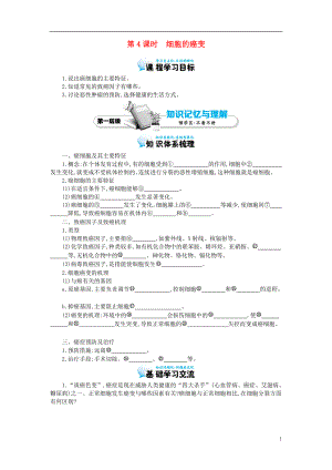 多彩課堂2015-2016學年高中生物 第6章 第4節(jié) 細胞的癌變導學案 新人教版必修1