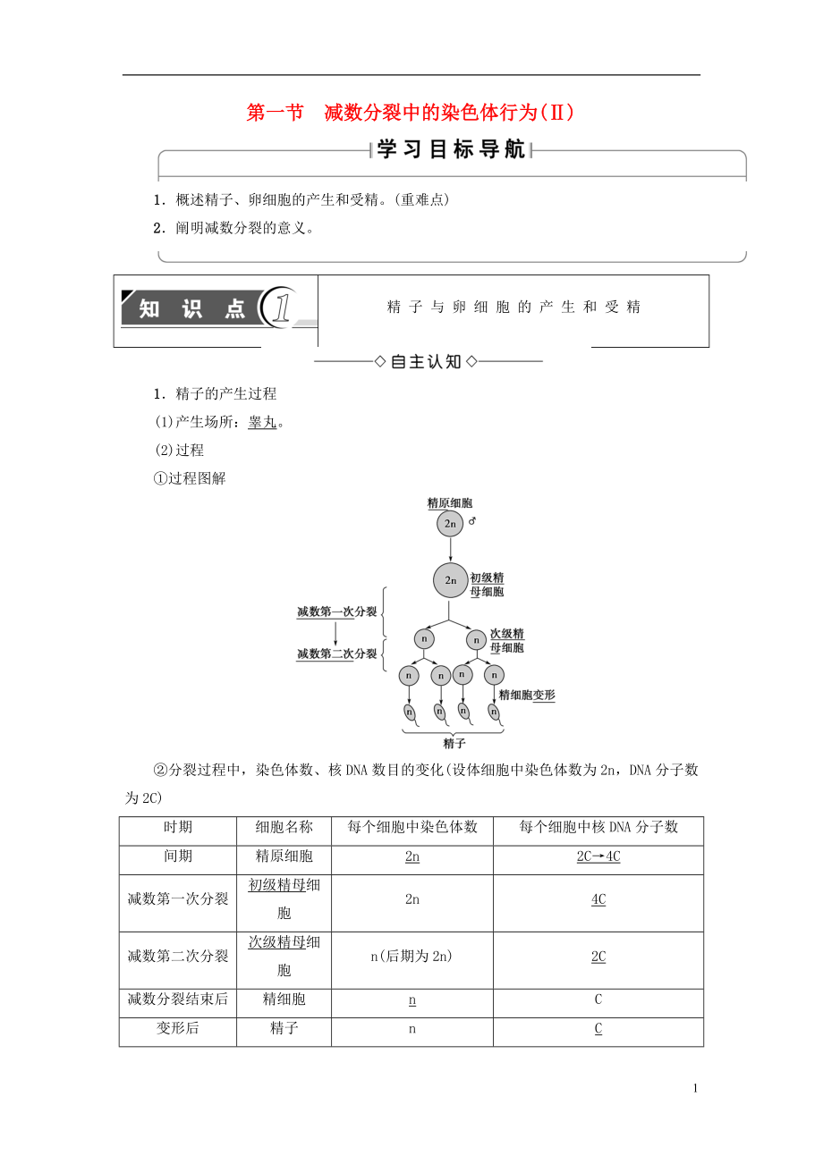 （教師用書）2016-2017版高中生物 第2章 染色體與遺傳 第1節(jié) 減數(shù)分裂中的染色體行為（Ⅱ）學(xué)案 浙科版必修2_第1頁