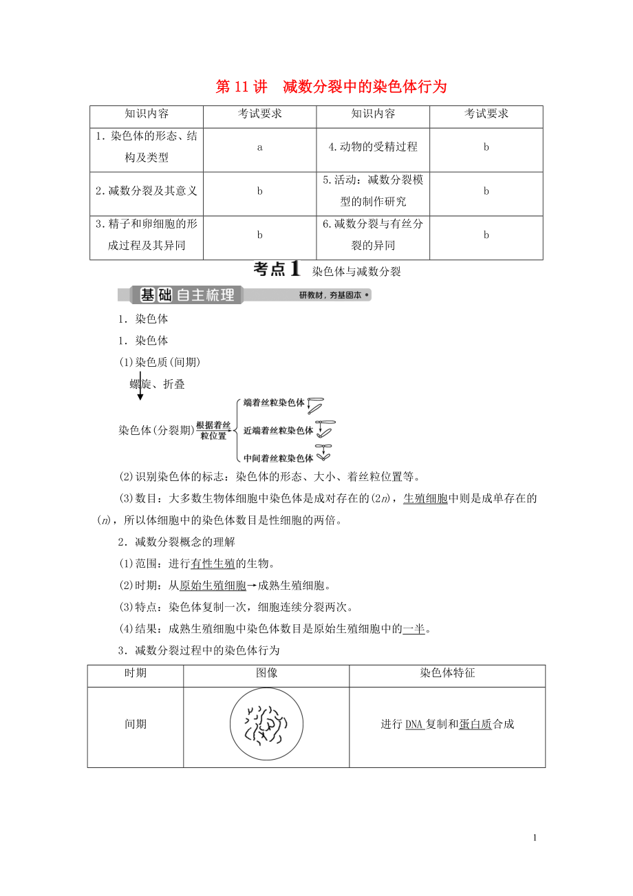 （浙江選考）2021版新高考生物一輪復(fù)習(xí) 專題4 細(xì)胞的增殖（含減數(shù)分裂中的染色體行為）和分化 第11講 減數(shù)分裂中的染色體行為教學(xué)案 新人教版_第1頁