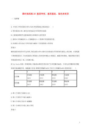 2020版高考生物一輪復(fù)習(xí) 課時規(guī)范練20 基因突變、基因重組、染色體變異（含解析）蘇教版