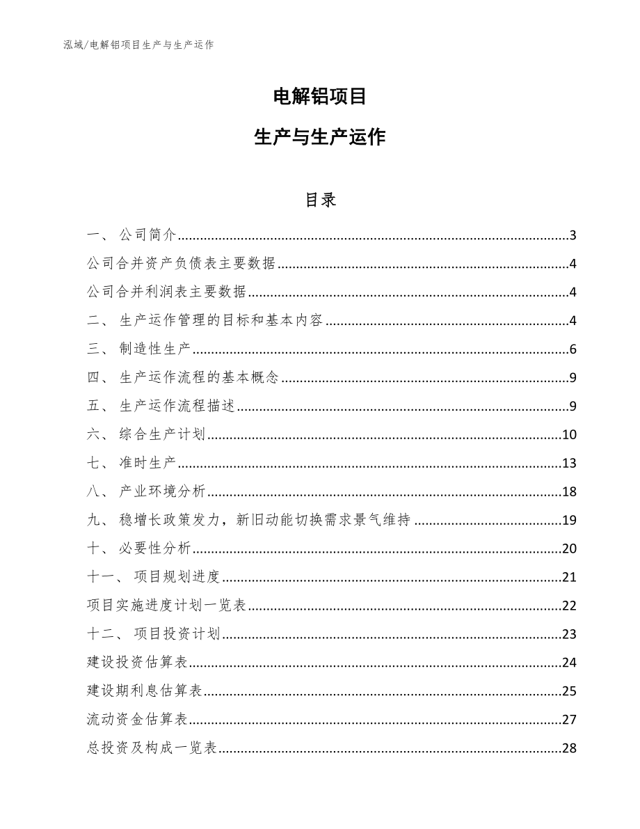 电解铝项目生产与生产运作_第1页