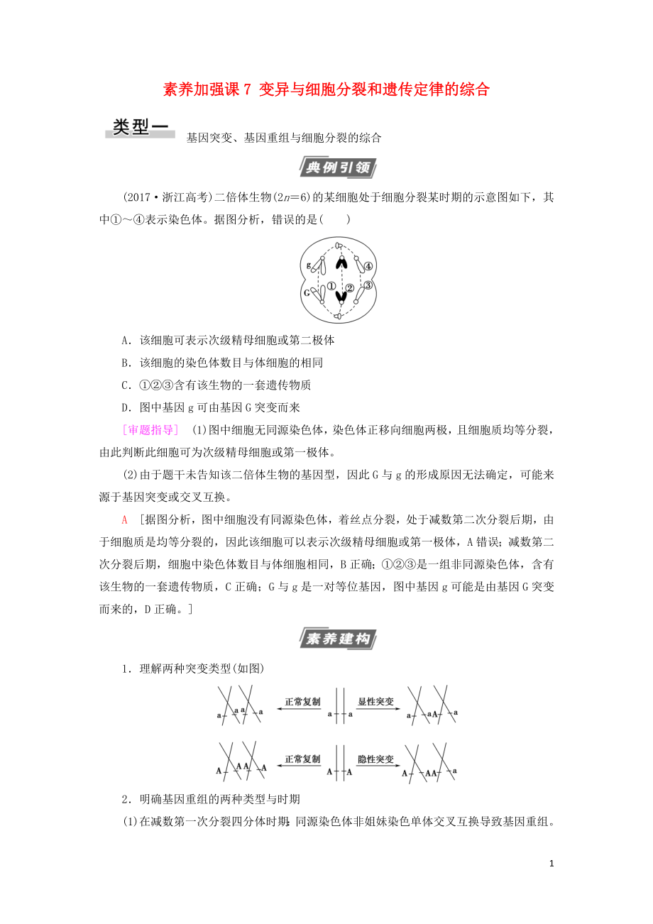 2021版高考生物一輪復(fù)習(xí) 第7單元 生物的變異、育種與進化 素養(yǎng)加強課7 變異與細(xì)胞分裂和遺傳定律的綜合學(xué)案 蘇教版必修2_第1頁