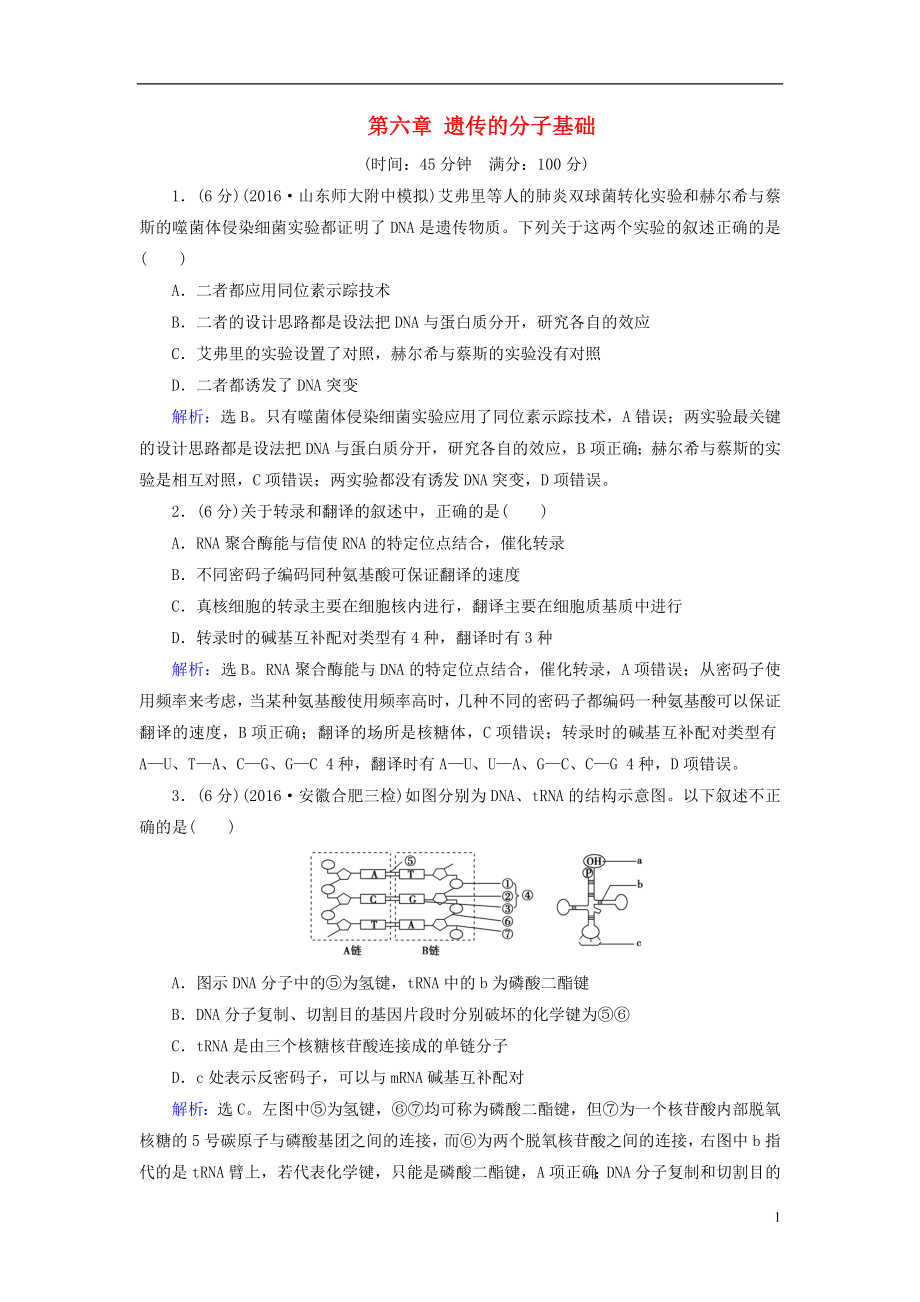 2017屆高考生物大一輪復(fù)習(xí) 第六章 遺傳的分子基礎(chǔ)學(xué)案_第1頁